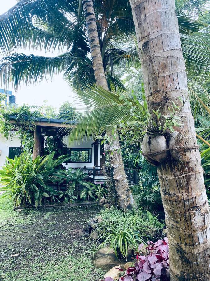 Nature Villa Unawatuna Galketiya Zewnętrze zdjęcie