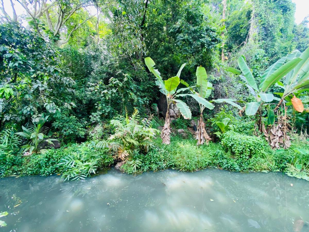Nature Villa Unawatuna Galketiya Zewnętrze zdjęcie